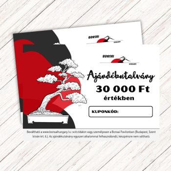 Bonsai ajándékutalvány