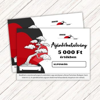 Bonsai ajándékutalvány