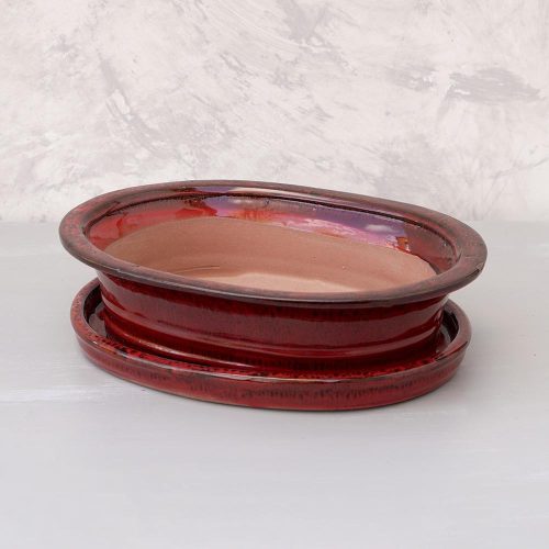 Bonsai tál szett - extra