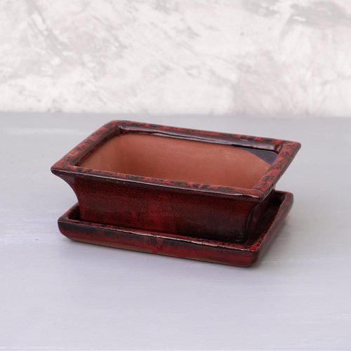 Bonsai tál szett - közepes