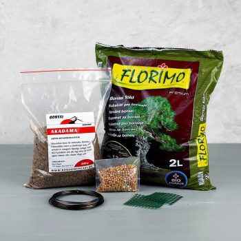 Ültetőcsomag bonsaiokhoz