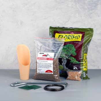 Ültetőcsomag bonsaiokhoz
