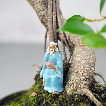 Bonsai szobrok
