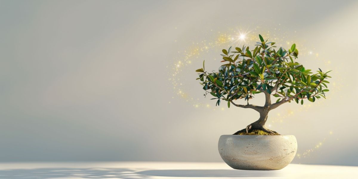 BONSAI-VITAMIN.jpg