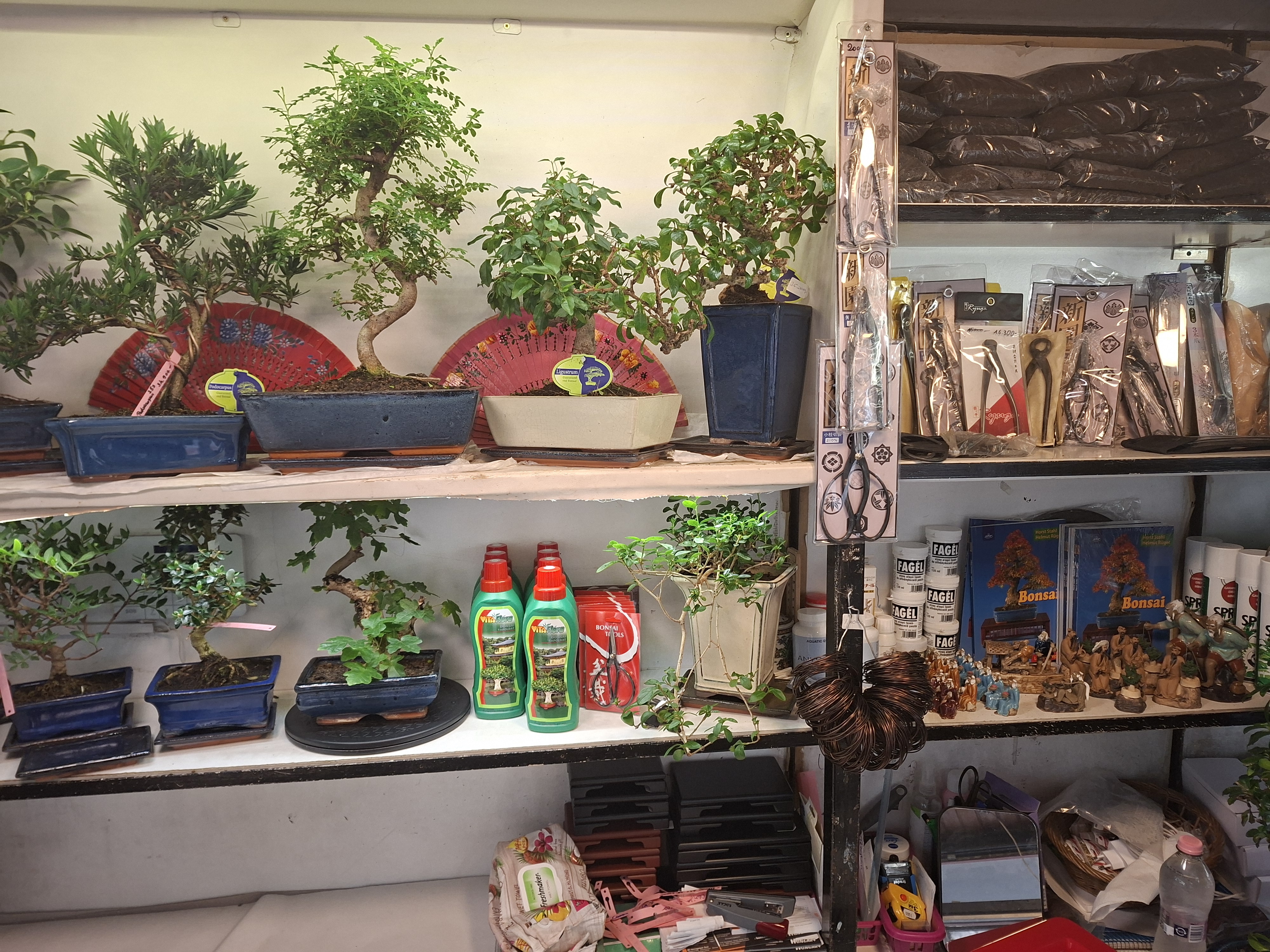 Bonsai Pavilon kép 1