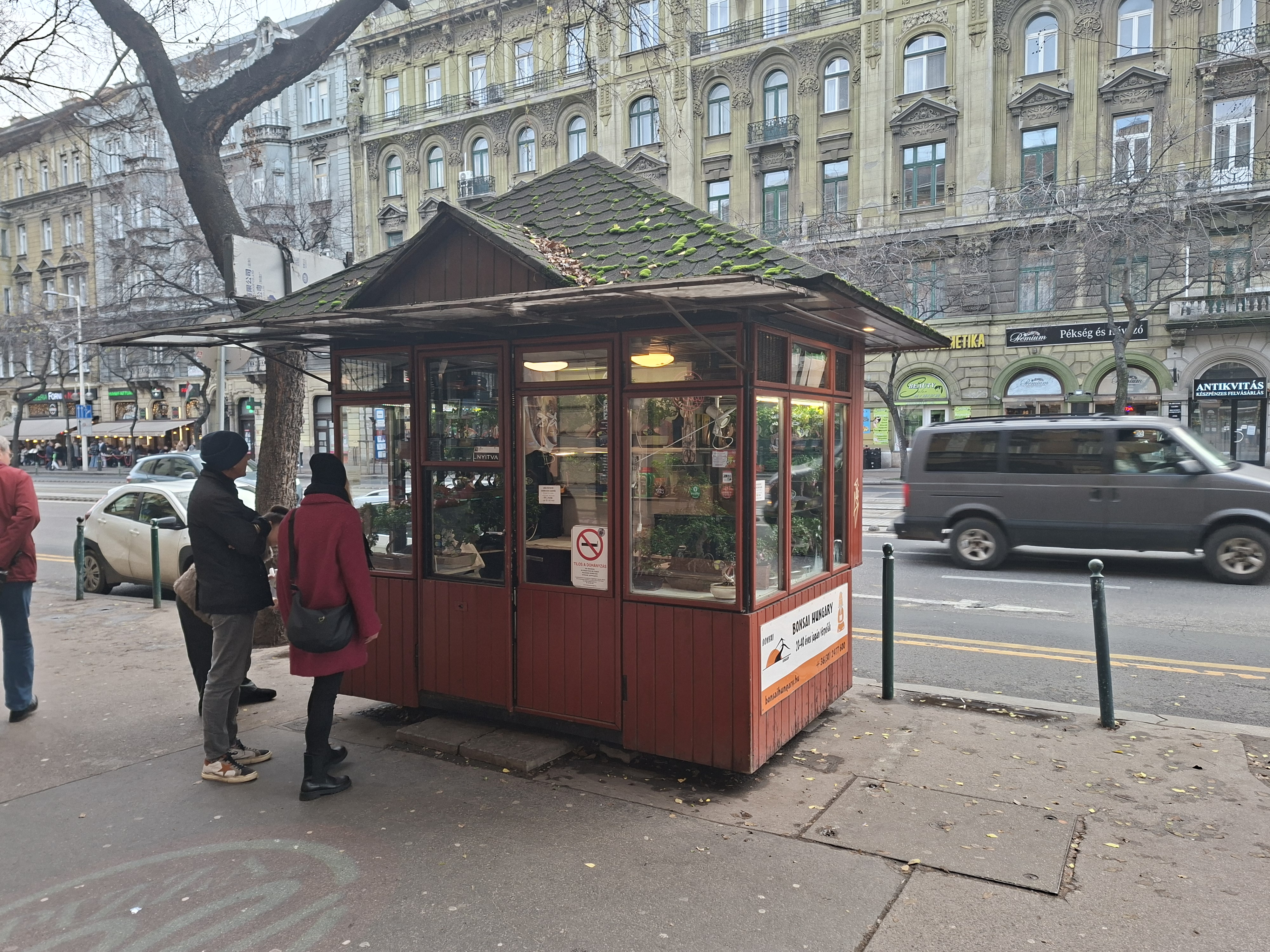 Bonsai Pavilon kép 4