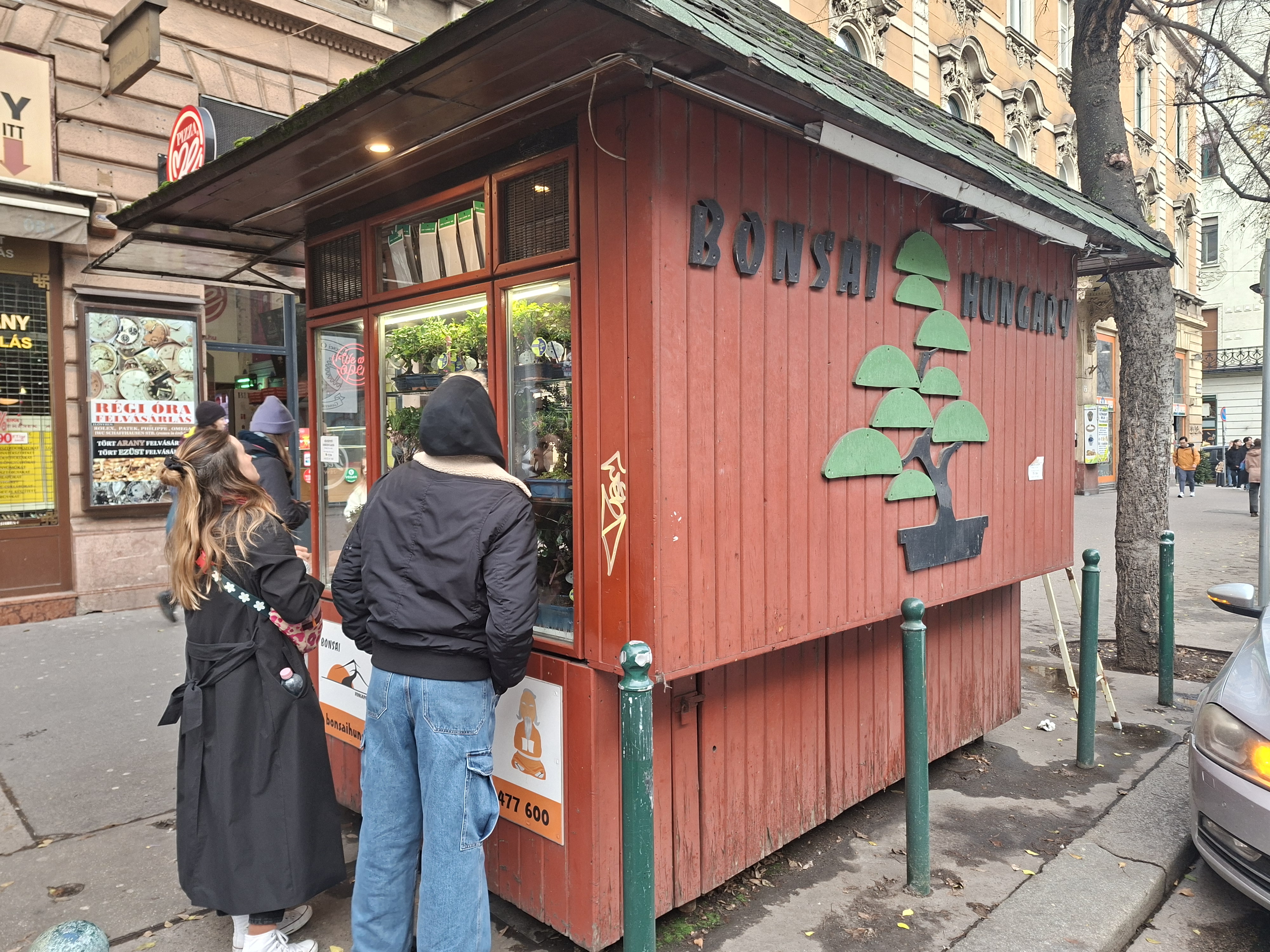 Bonsai Pavilon kép 5